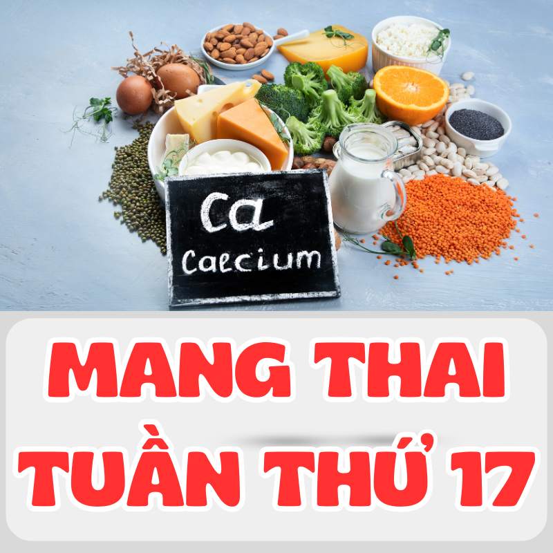 Canxi cần thiết cho mẹ bầu mang thai tuần thứ 17